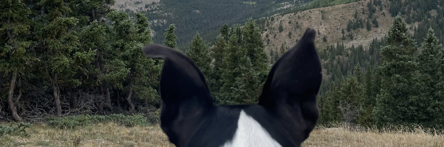 holienken's profile banner image