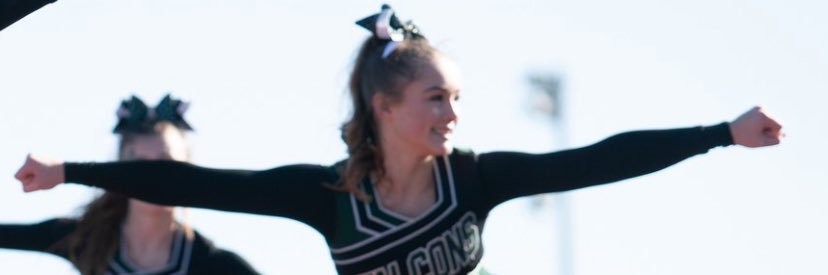 Rylee Sapp banner