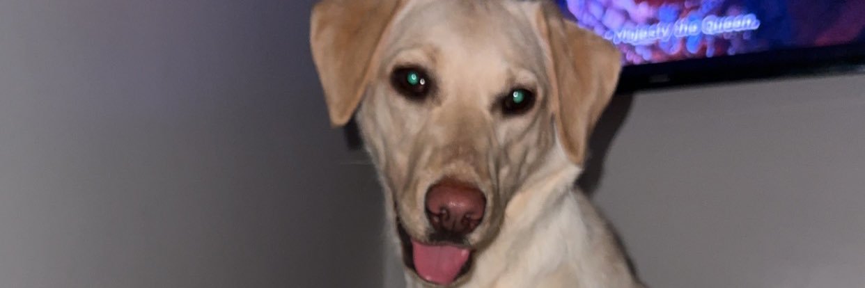 ttamzinxox's profile banner image