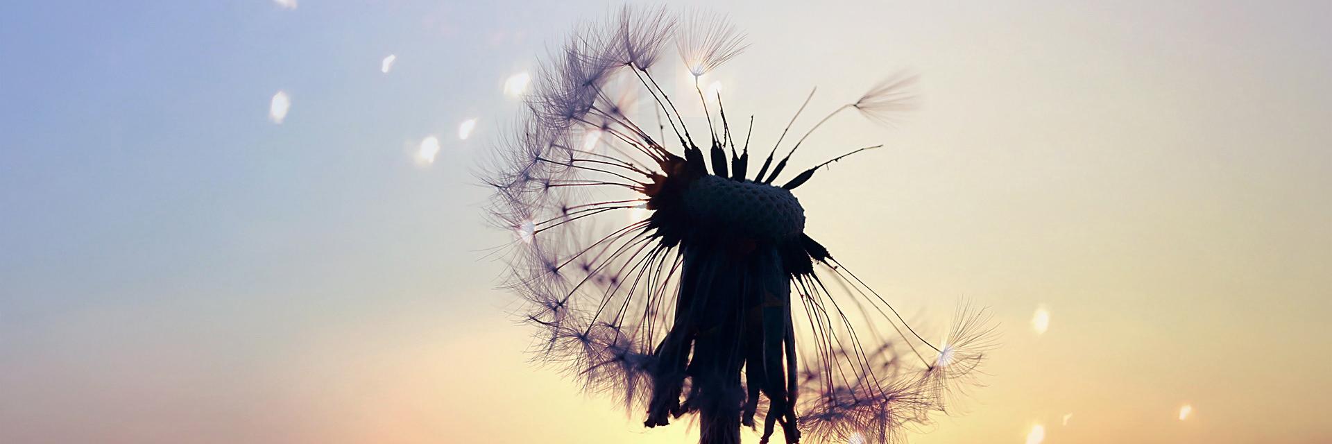 Line_of_Five's profile banner image