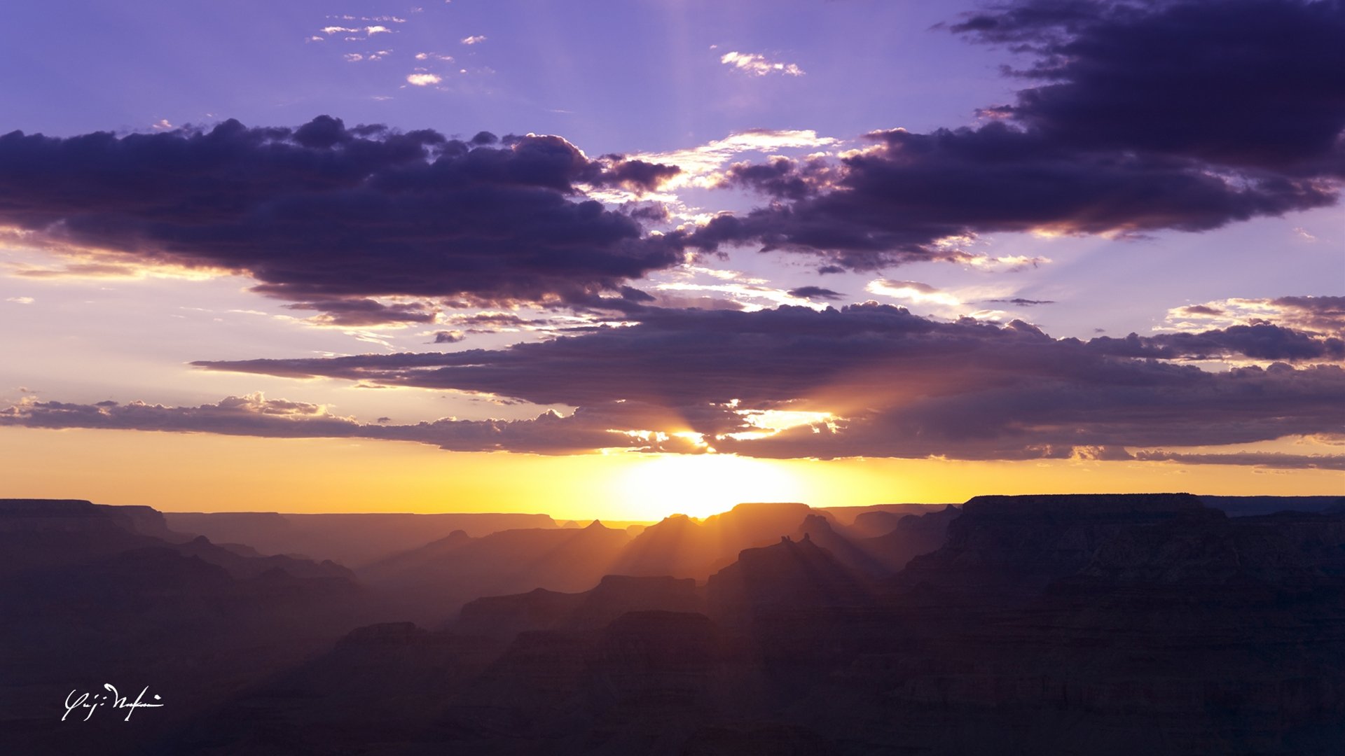 Martine Morlot banner