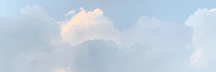 charlie*'s banner