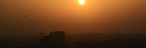 theprogrammerin Profile Banner