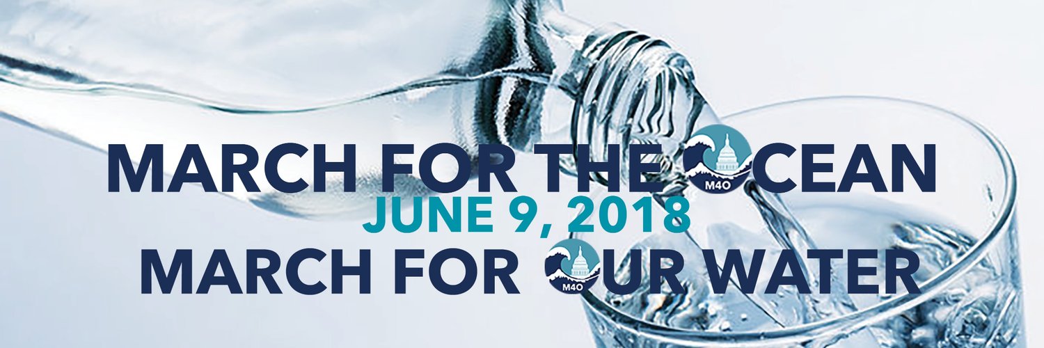 March For The Ocean Profile Banner