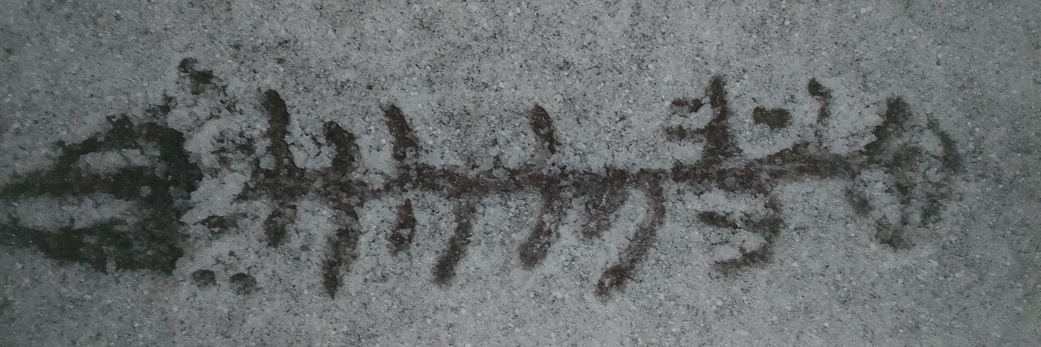PECOLEO's profile banner image