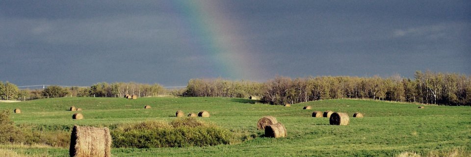Hushton Block banner