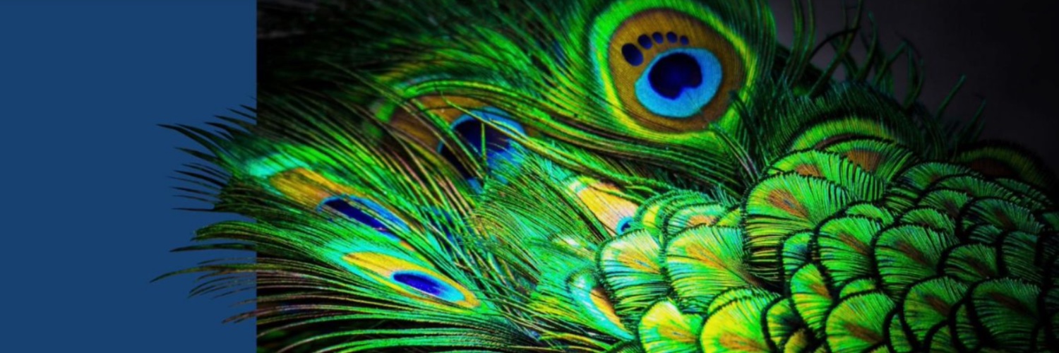 Surefoot Communications banner