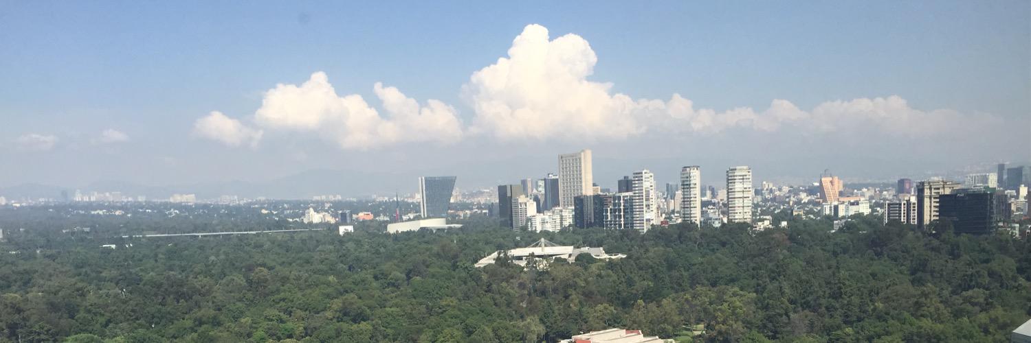 Gabriela Quiroga García banner