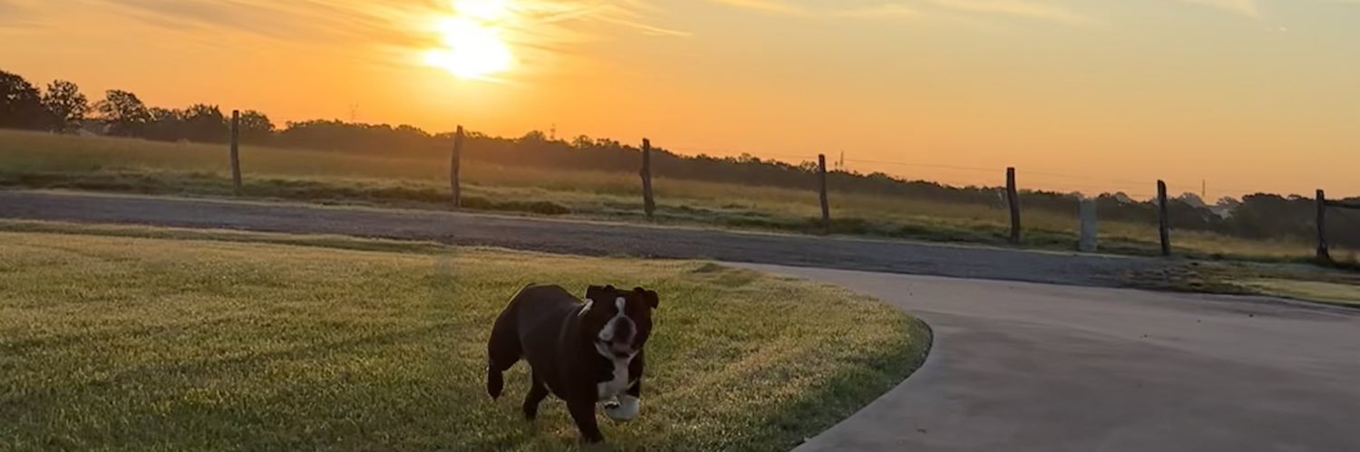 madisonkey_'s profile banner image