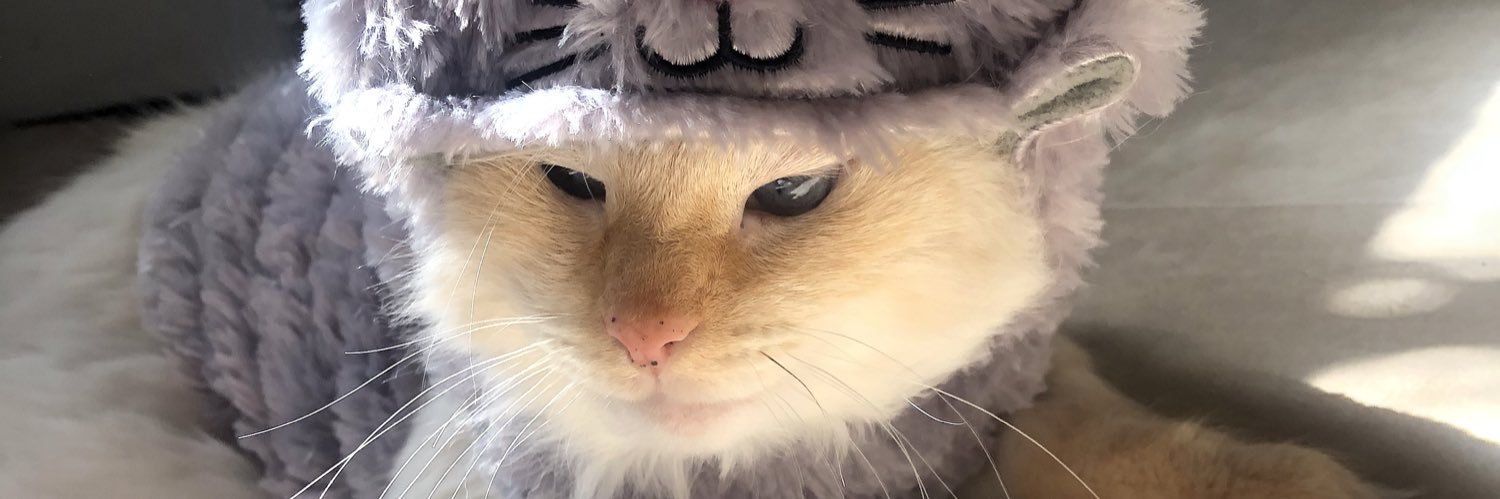 KatyRodgers8's profile banner image