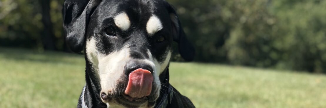 Meredith_Snow6's profile banner image