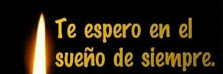 La Hora Del Gato banner