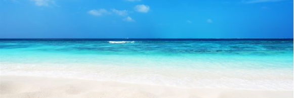 이정철 banner