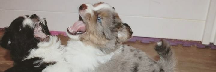 melbrooox's profile banner image