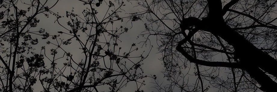 xi21_i's profile banner image