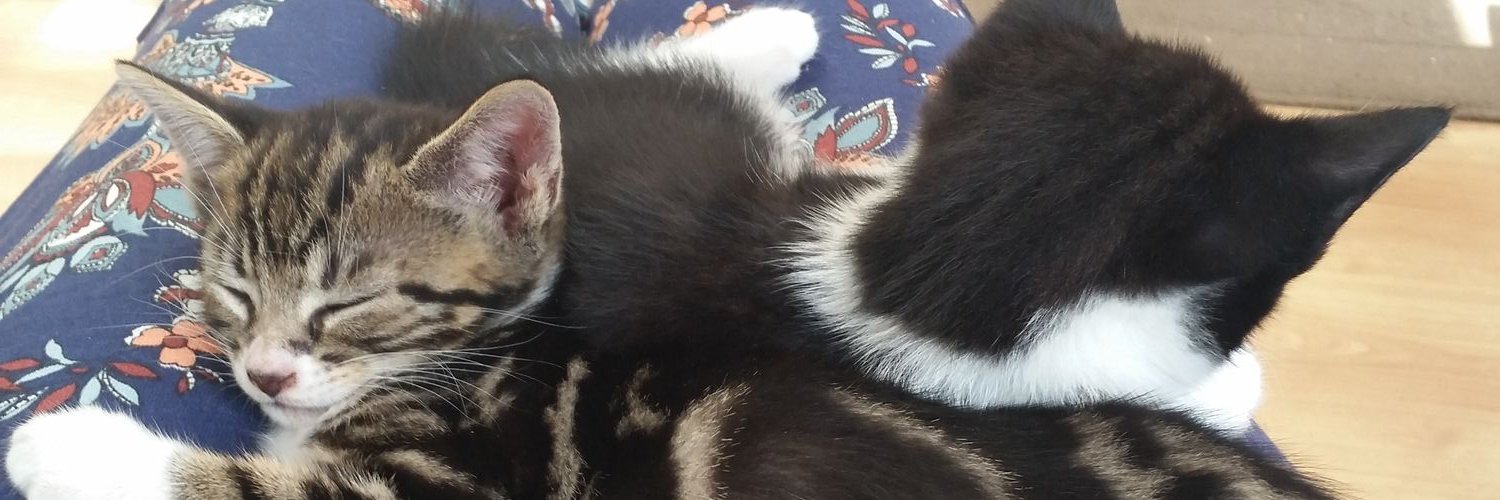 LizzieDuke's profile banner image