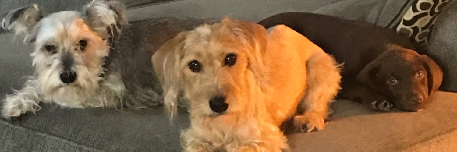 Jesse Paredes banner