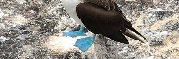 deepafern Profile Banner
