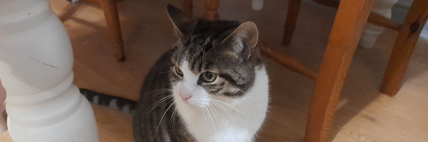 Dan Warren️ banner