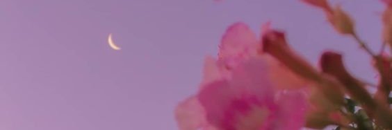 ne_otsuda's profile banner image