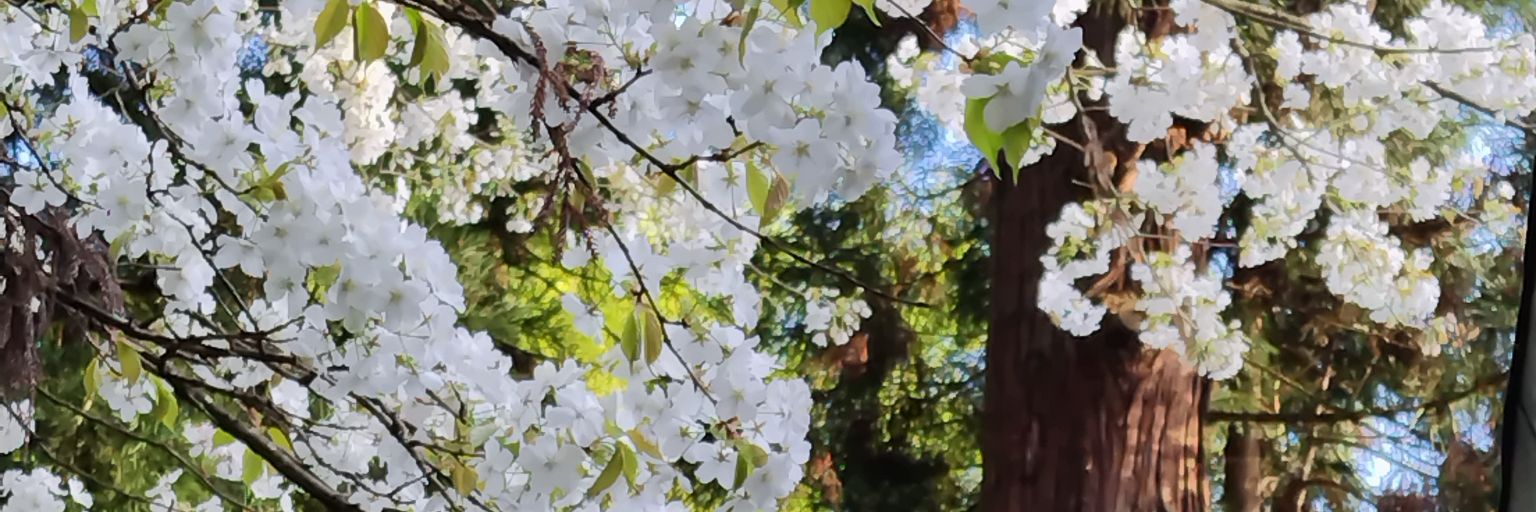 thisistheK01's profile banner image