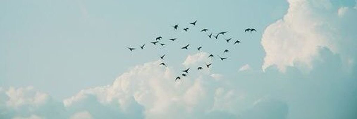 butttju's profile banner image