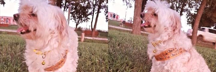 Clau00136's profile banner image