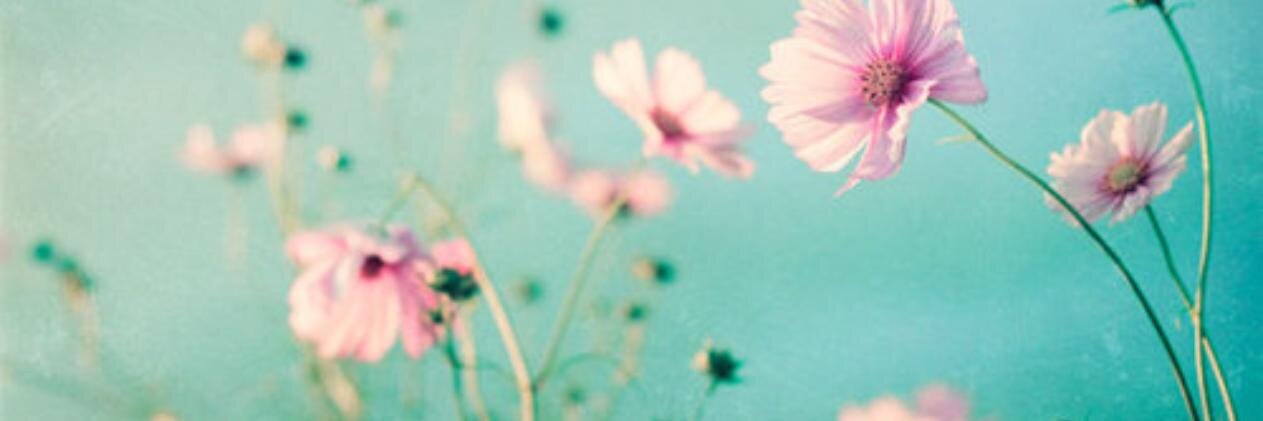 MovesLikeRiRi's profile banner image