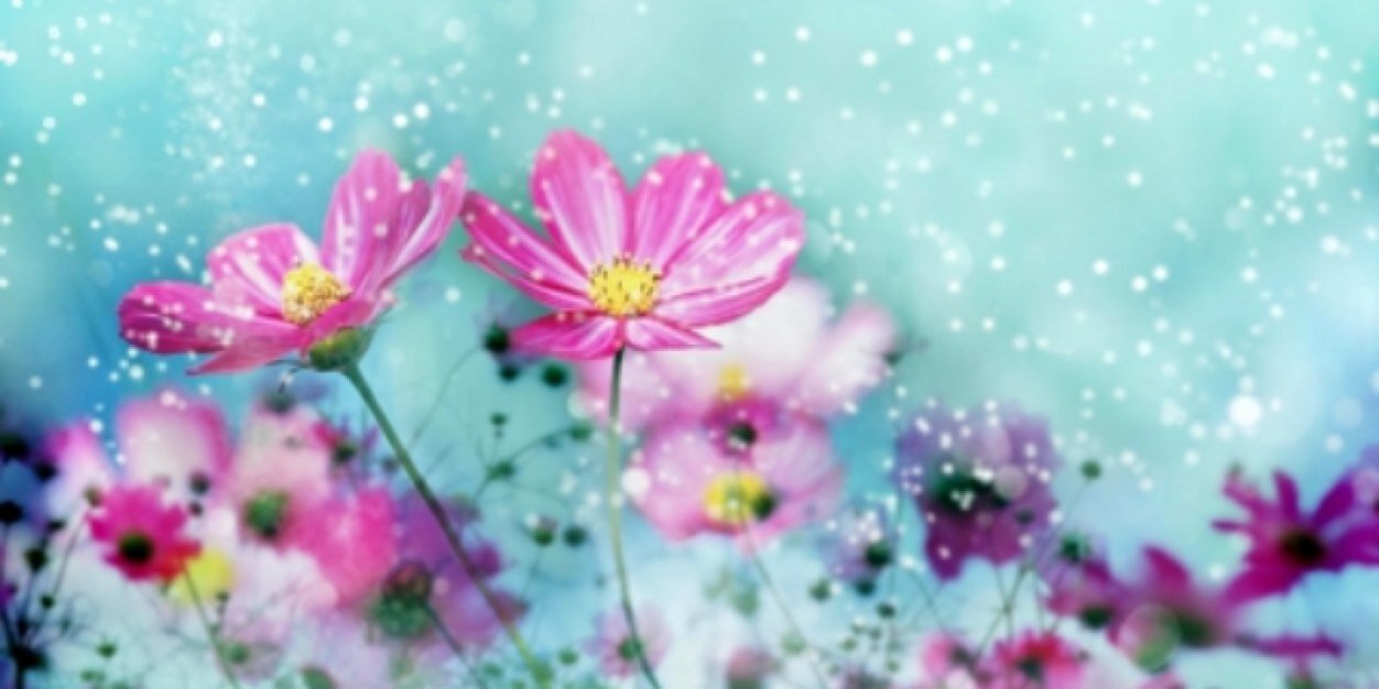 nimcle's profile banner image
