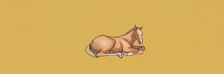 علي عبدالله المقدم banner