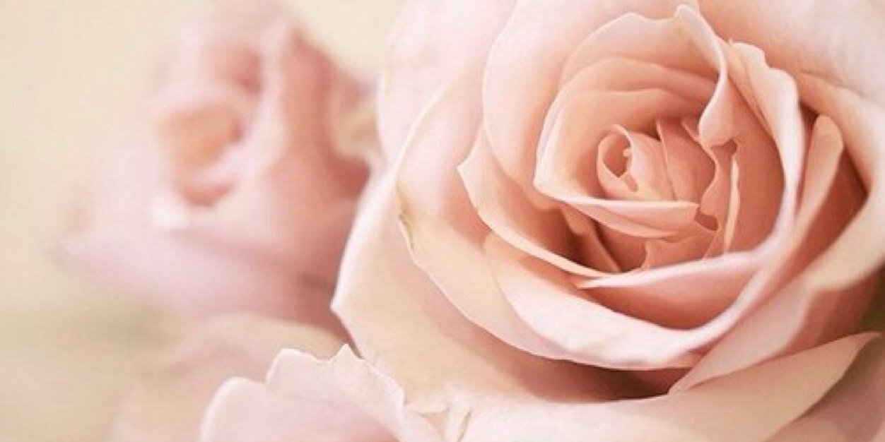 adelinaaa25's profile banner image