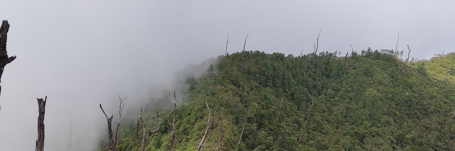 17robbani's profile banner image