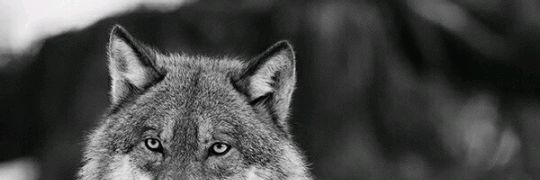 JordanRguez11's profile banner image