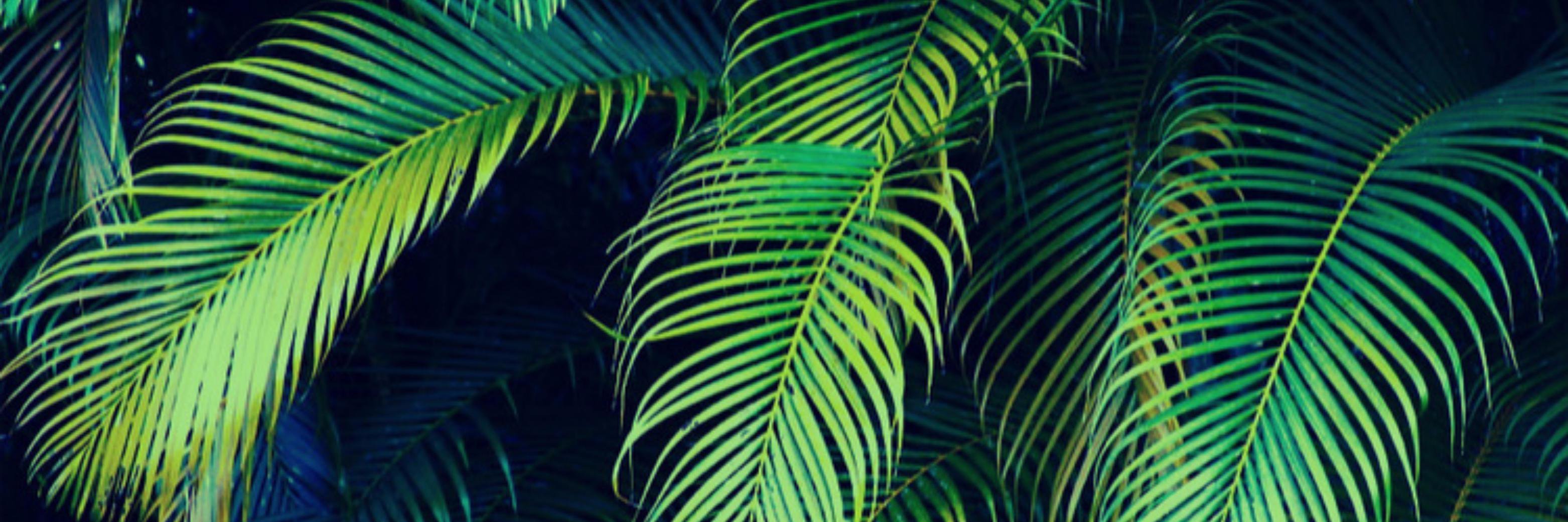 benjung_'s profile banner image