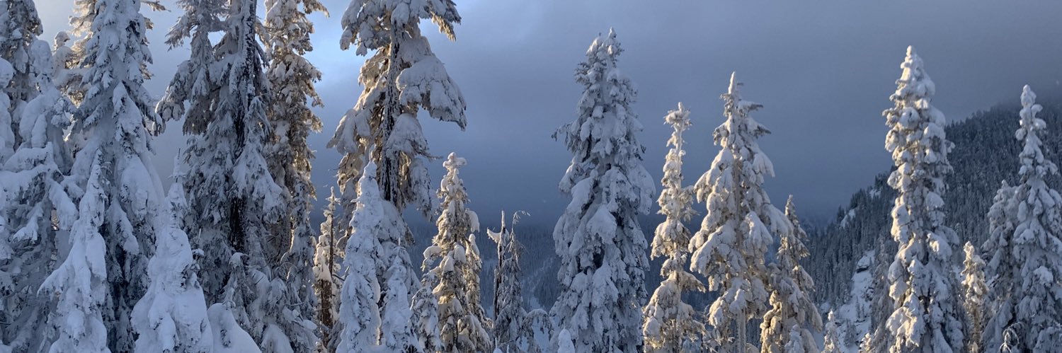 lizlarson08's profile banner image