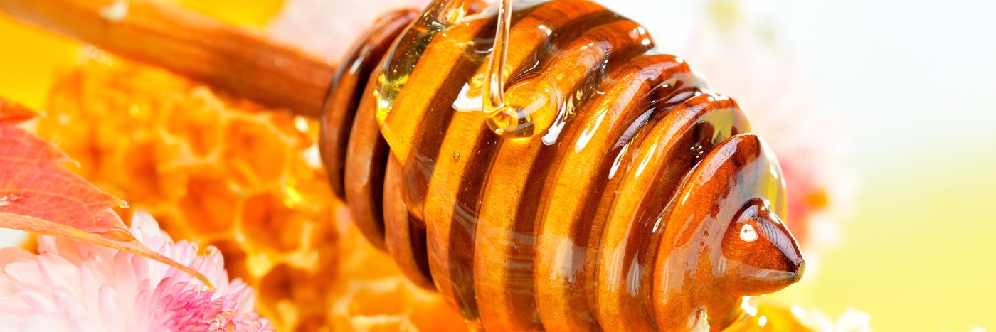 asherhoneybees's profile banner image