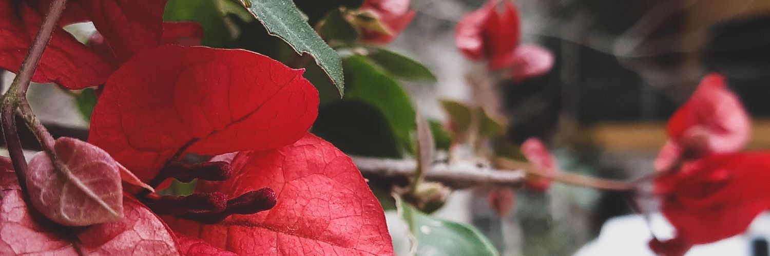 death_angelj's profile banner image