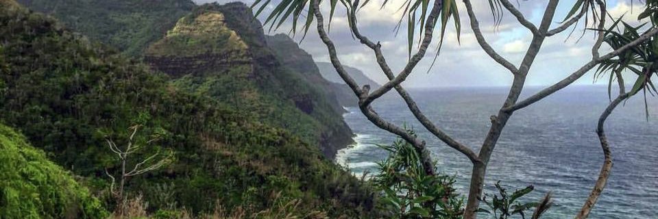 brucemas51's profile banner image