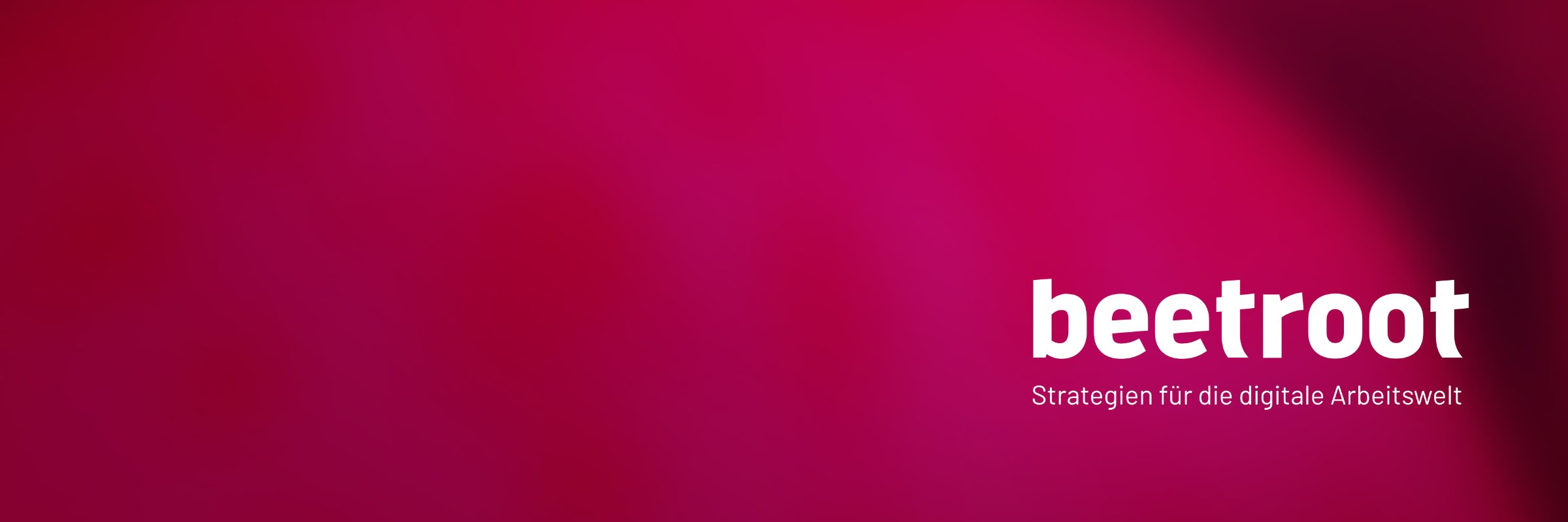 DanielSchnyder's profile banner image