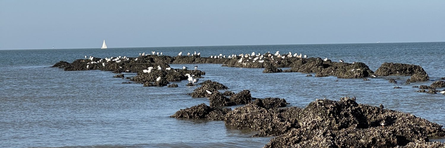 Victoria Wagner banner