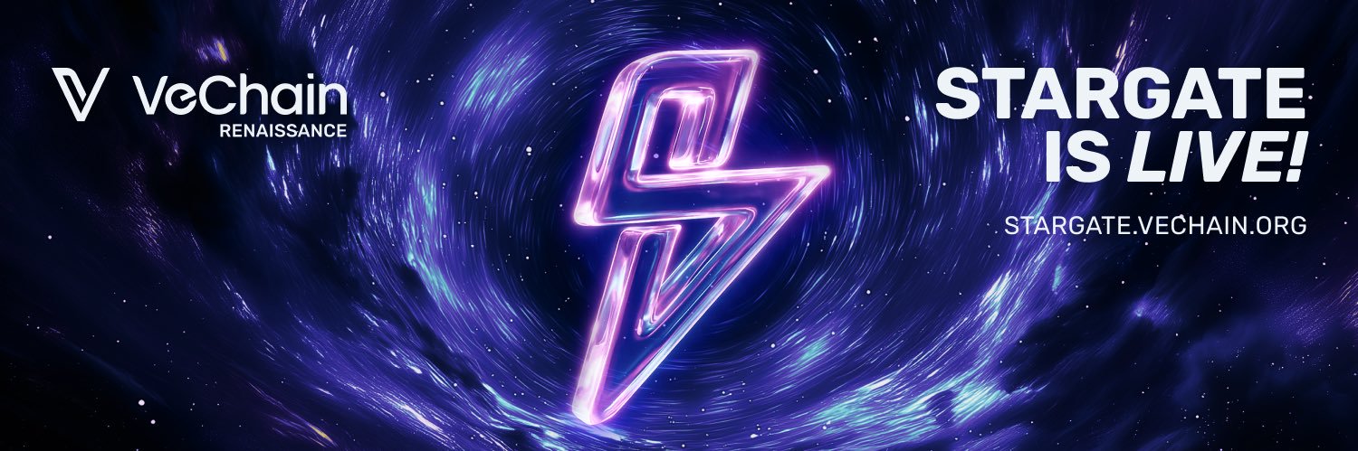 VeChain's banner