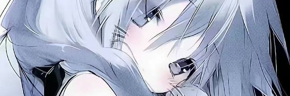 lauzapiola's profile banner image