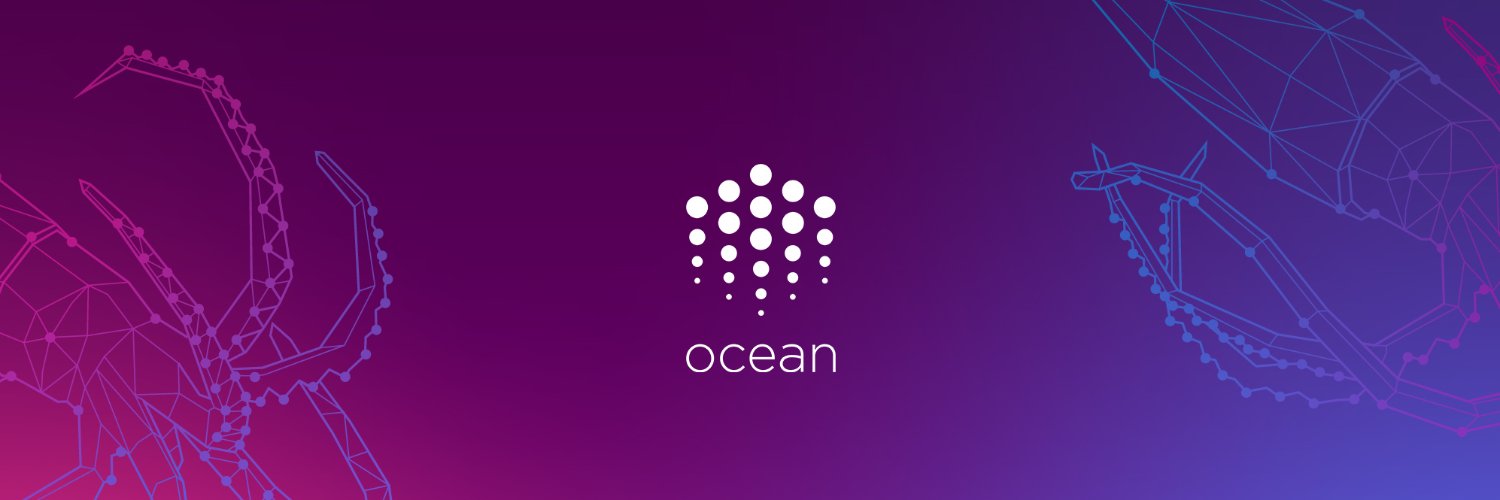 Ocean Protocol Profile Banner