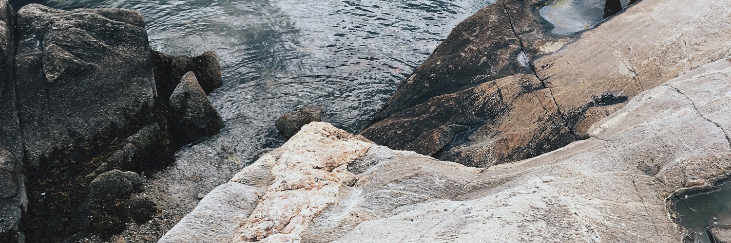 beabotelho_'s profile banner image