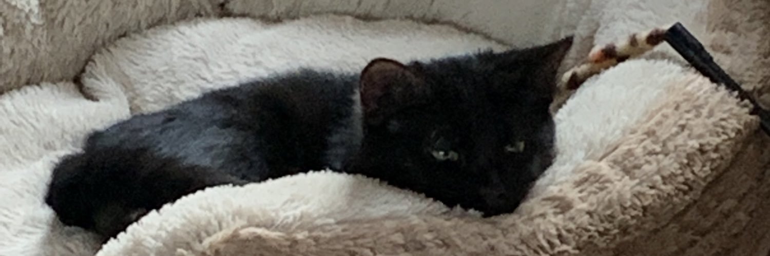 Mark Creegan ⭐️⭐️ banner