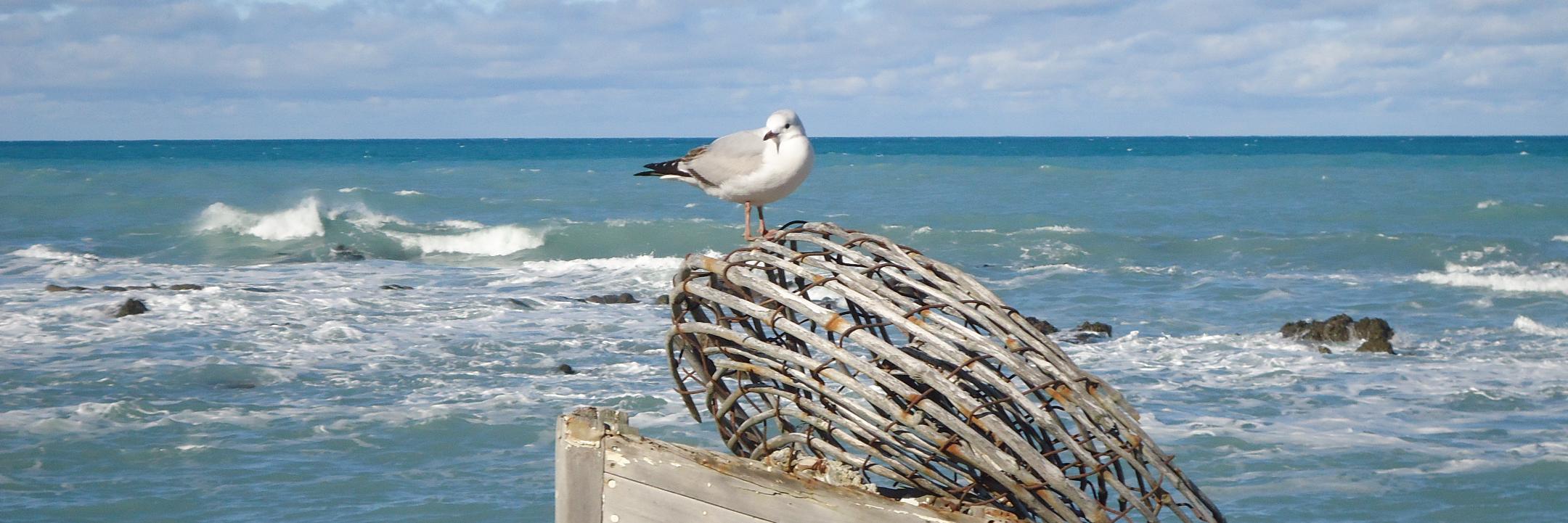 Ana Dargallo Nieto banner
