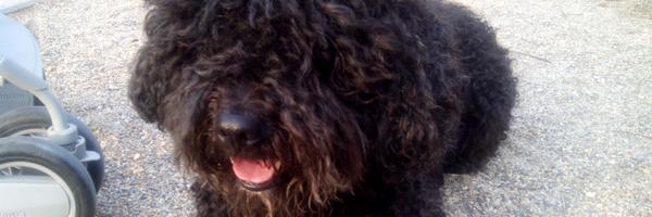 NuriaMarin Profile Banner