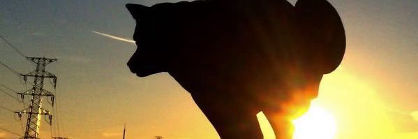 NotFoundchan4's profile banner image