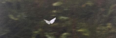 ezgikayann's profile banner image
