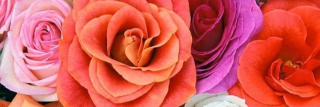normaabpm's profile banner image